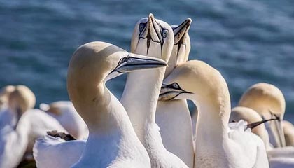 湘阴伴游，定制QQ：3494206190微信：act1322